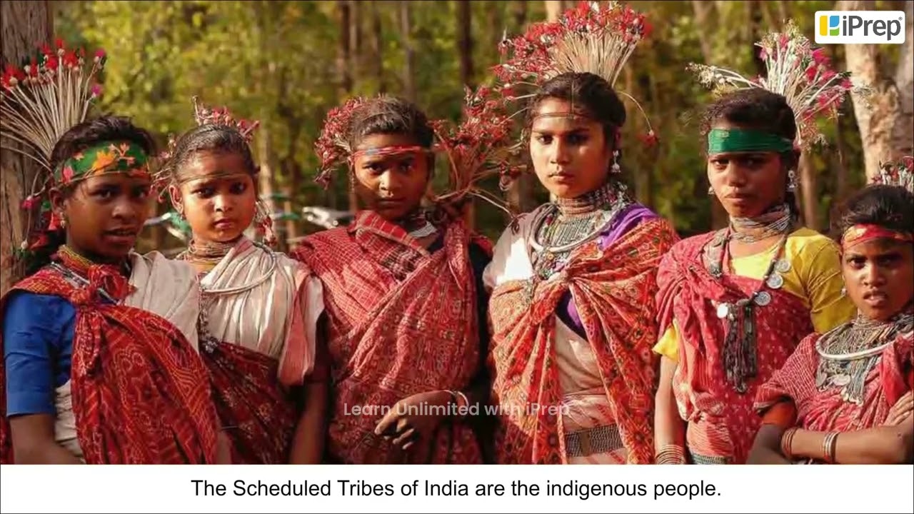 The Indigenous People and Their Rights | Chapter Number 6 | Political Science | Class 12th | iPrep