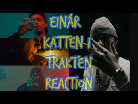 Einár - Katten i Trakten (Official Music Video) UK REACTION