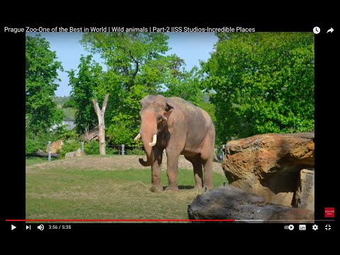 Prague Zoo-One of the Best in World | Wild animals | Part-2 ||SS Studios-Incredible Places