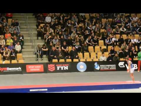 AZE Mikhail Malkin Prelim 2nd Pass 2015 World Champs Tumbling