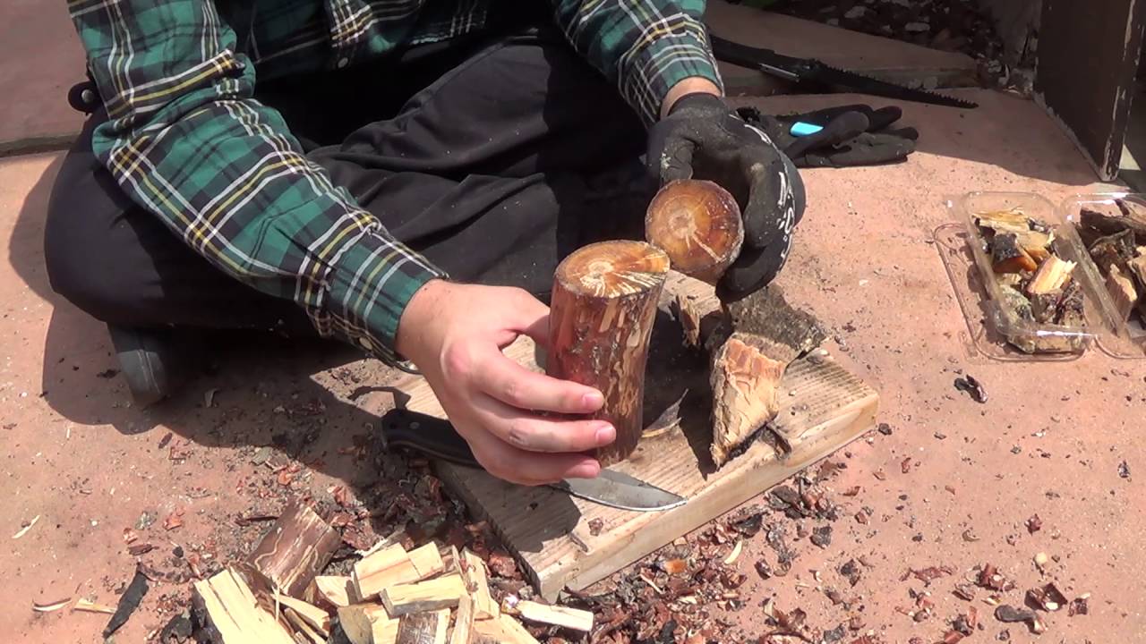 Fatwood, Testing the Branch, Knot and Root