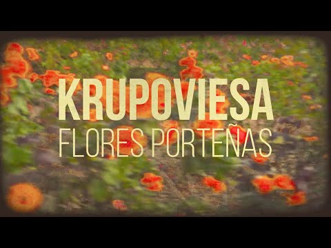 Krupoviesa - Flores Porteñas