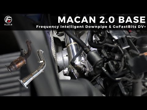 Macan 2.0 - FI Downpipe & GFB DV+ Install
