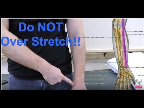 Radial Nerve Glides - Radial Nerve Entrapment Radial Tunnel Syndrome