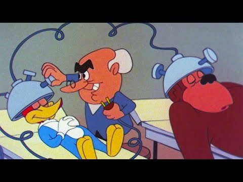 Woody is Captured by Evil Scientist  | Woody Woodpecker