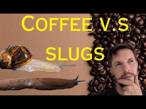 Does Coffee Deter Slugs and Snails? Can it Protect Your vegetables Ep 2/9 *Slug barrier tests*