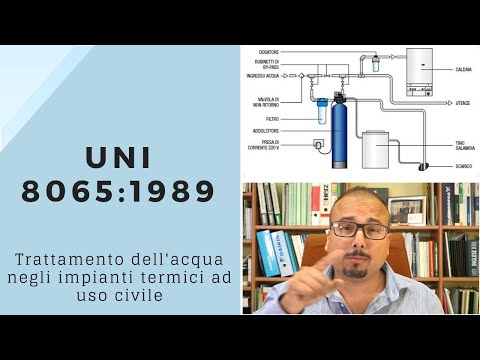 Decolorazione di pelle di labbra vulvar Crema per il viso con leffetto di decolorazione di posti di pigmentary