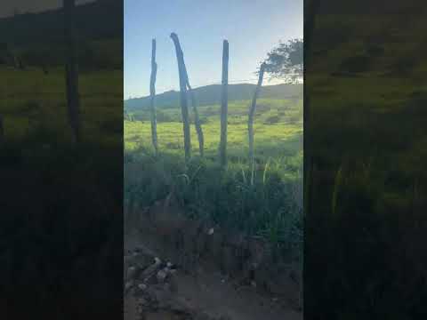 Passeando pela zora rural de Feira Grande-Alagoas 15/03/2026