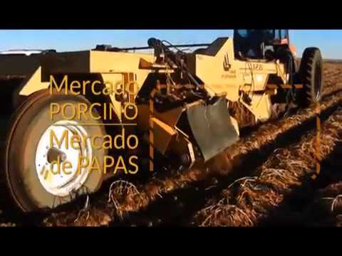 Programa Lunes 22 de Mayo de 2017