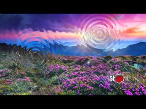 Purple Lily Field Chillout Music in 3D