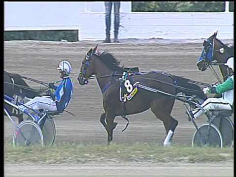 Trotto 12/05/2017 - 7ª corsa