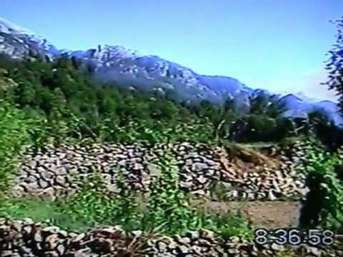 QERIM DELIA (vatani e trojet e ti)