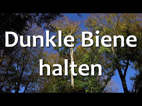 Keeping the Black Bee, but how? Information on sources of supply for Apis mellifera mellifera