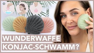 KONJAC SPONGE – Das Geheimnis hinter dem Schwamm aus Konjac Wurzel!