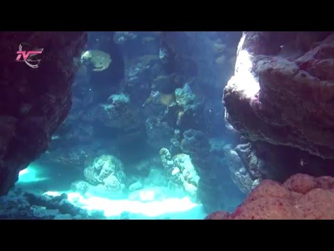 Mrekulli shkencore në Kuran - Errësira dhe dallgët