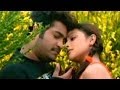 Subbu Telugu Movie Love Passayyanu Video Song NTR Jr Sonali Joshi