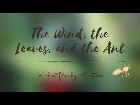 The Wind, The Leaves, and the Ants || A Short Film by Mrittika Chowdhury