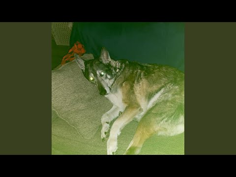 Don't Forget Where You Came From