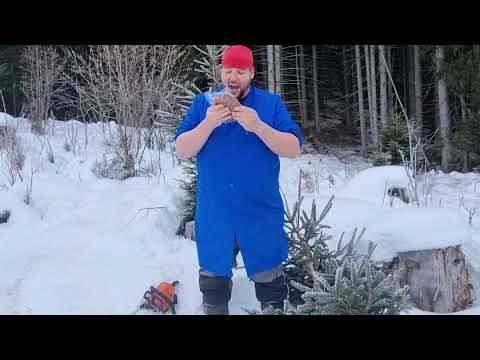 Das perfekte Weihnachtsessen