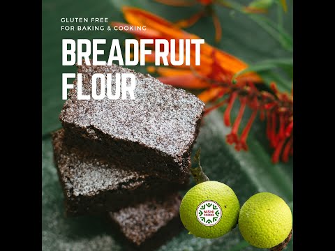 Nishi Foods: Breadfruit Flour From the Kingdom of Tonga