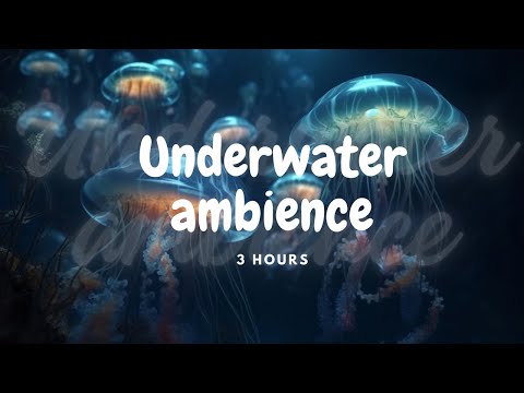 Escape into the depths of the ocean