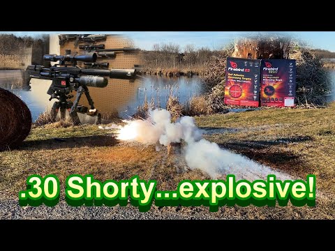 FX Maverick Compact Conversion | Explosive  Firebird Targets!