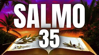 DEUS LUTA COM VOCÊ E TE PROTEGE DOS ATAQUES DO INIMIGO NESSA GUERRA ESPIRITUAL - SALMO 35