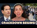Marco Rubio Becomes Every Antifa Member S Worst Nightmare