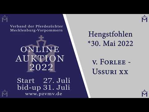 Nr. 11 Hengst v. Forlee/Ussuri xx/Feuertanz II