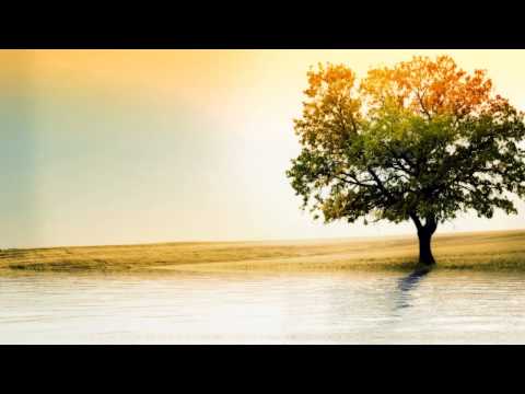 Arnej vs. Mr Sam & Claud9 - Beauty In Cygnes (mpusch88 Mashup)