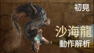 [MHWs] 沙海龍バーラハーラ動作解析MHWilds