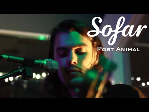 Post Animal - When I Get Home | Sofar Chicago