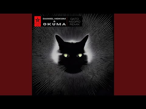 Gato Negro (Daniel Hokum & okuma Remix)