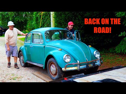 1967 VW Beetle Found & Rescued - Volkswagen Bug Revival : P1