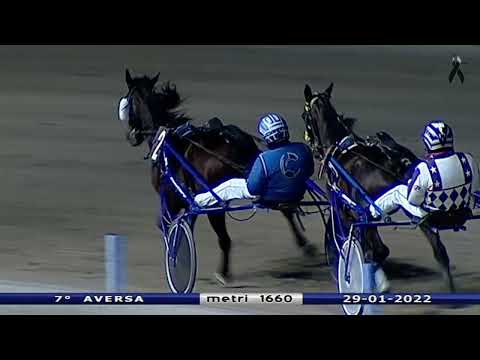 Aversa trotto 29 Gennaio 2022 - 7° Corsa