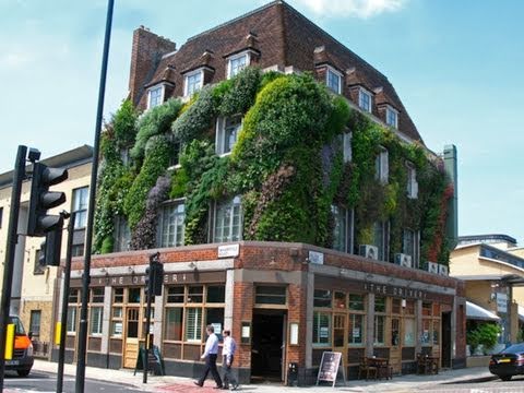 The Vertical Gardens of Patrick Blanc