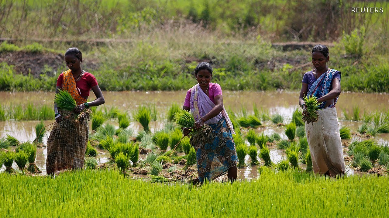 Global Food Security Symposium 2022