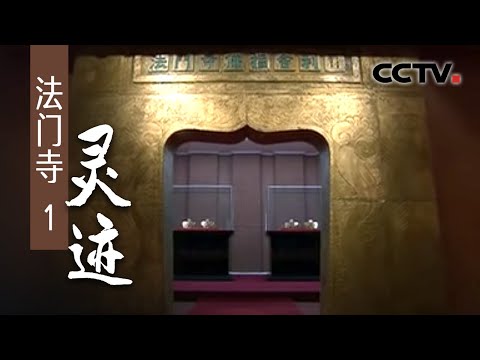 法门寺（央视纪录片）