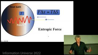 Erik Verlinde  Emergence of Gravity from Quantum Information: a Progress Report