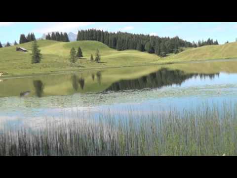 Die Tennengauer   Das Girl meiner Träume