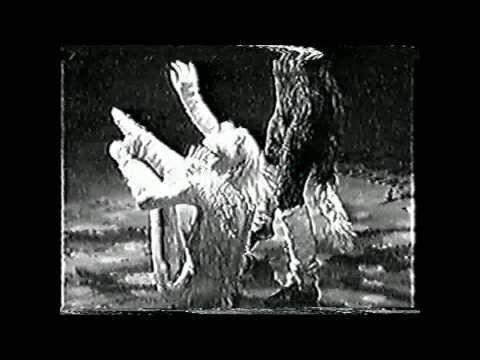 Het Jubikel-Bal video thumbnail