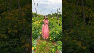 Download lagu Gomigo miami #gomigomi #gomi #shorts #trending #youtube #dance #reels #ytshorts #ytshort mp3