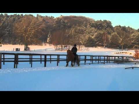 Kronshof Wintertraining Dez. 2010