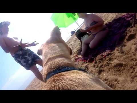 Poncha meets the beach Playa Riumar