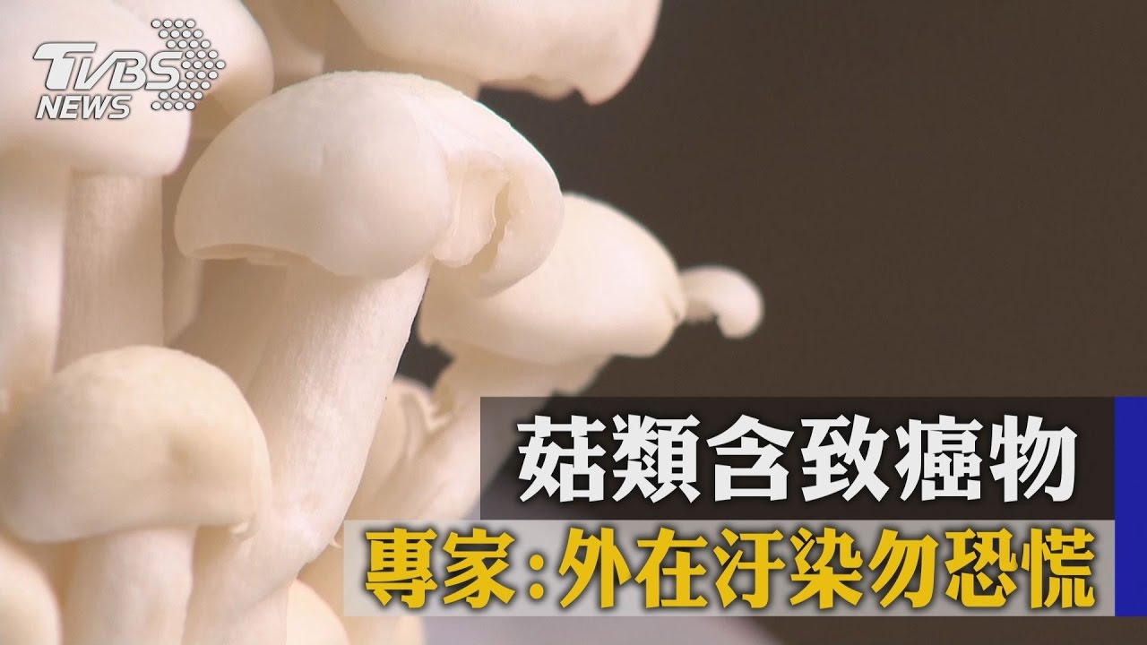 菇類含致癌物 專家:外在汙染勿恐慌