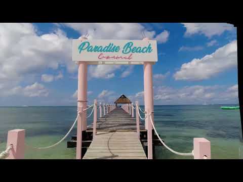 Paradise Beach Resort Walk Through Review & Info - Cozumel Mexico
