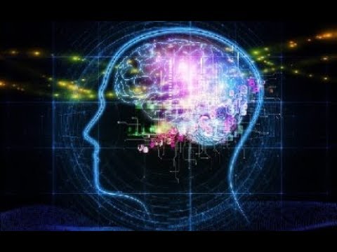 Introduction to Philosophy - Lecture 15 - Smart