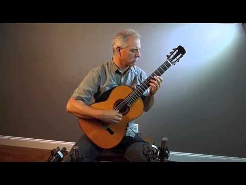 1991 Brian Cohen 1936 Hauser Indian/European at Dream Guitars