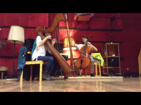 Anne-Marie Wingeier et Sandrine Cornut, harpe et violoncelle, à Casona Latina