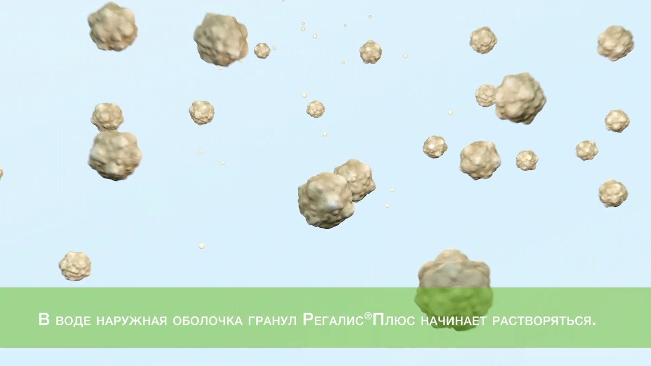 Регулятор росту Регалис Плюс
